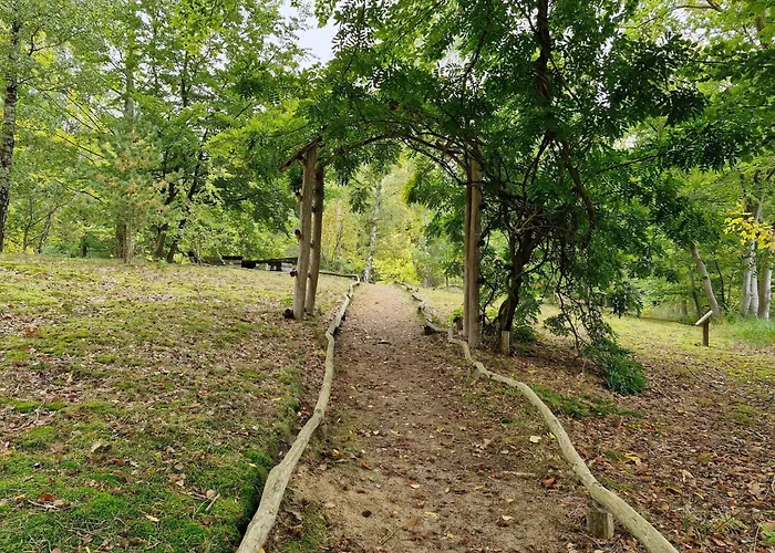 Sunday Hafendorf Standard Double *