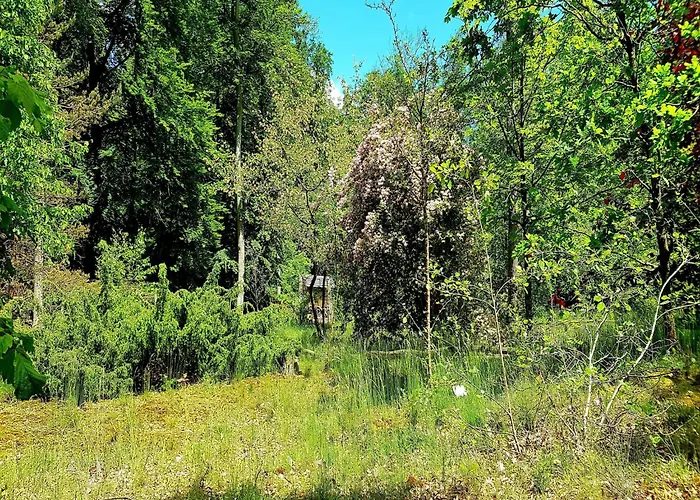 Sunday Hafendorf Standard Double Rheinsberg