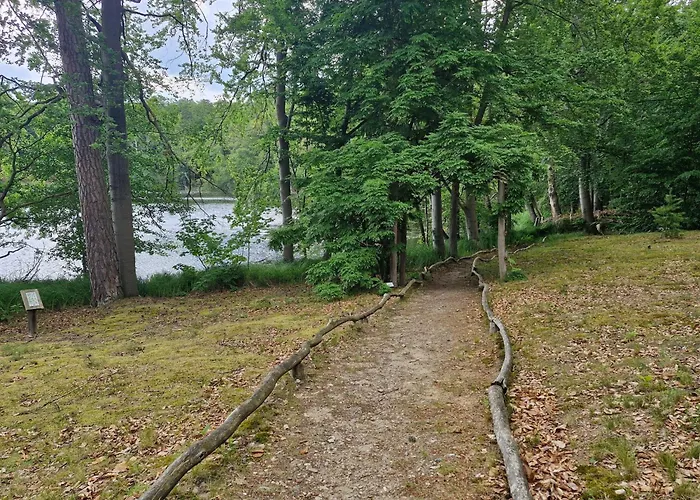 Sunday Hafendorf Standard Double